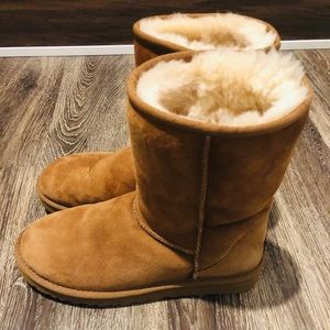 chestnut uggs size 8